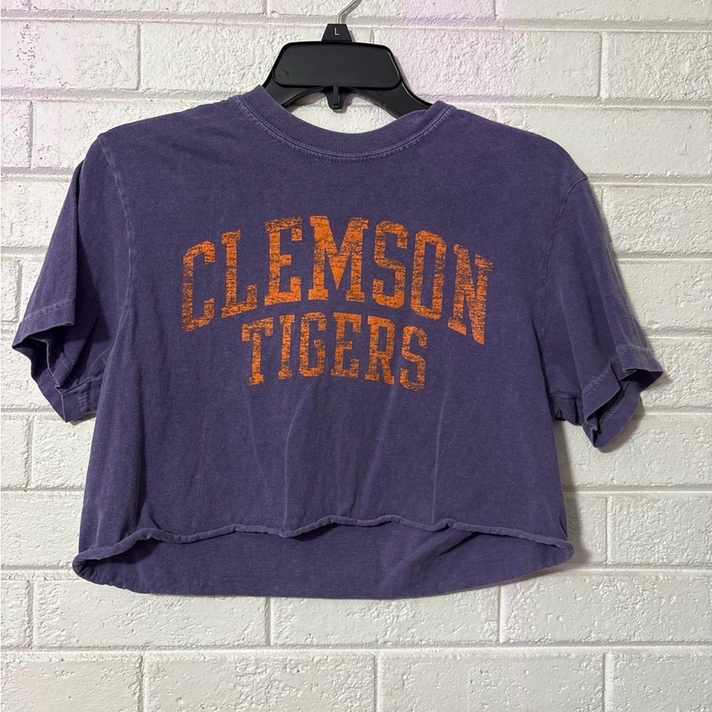 Comfort Colors Purple and Orange Crop Top